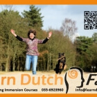 Learn Dutch Fast